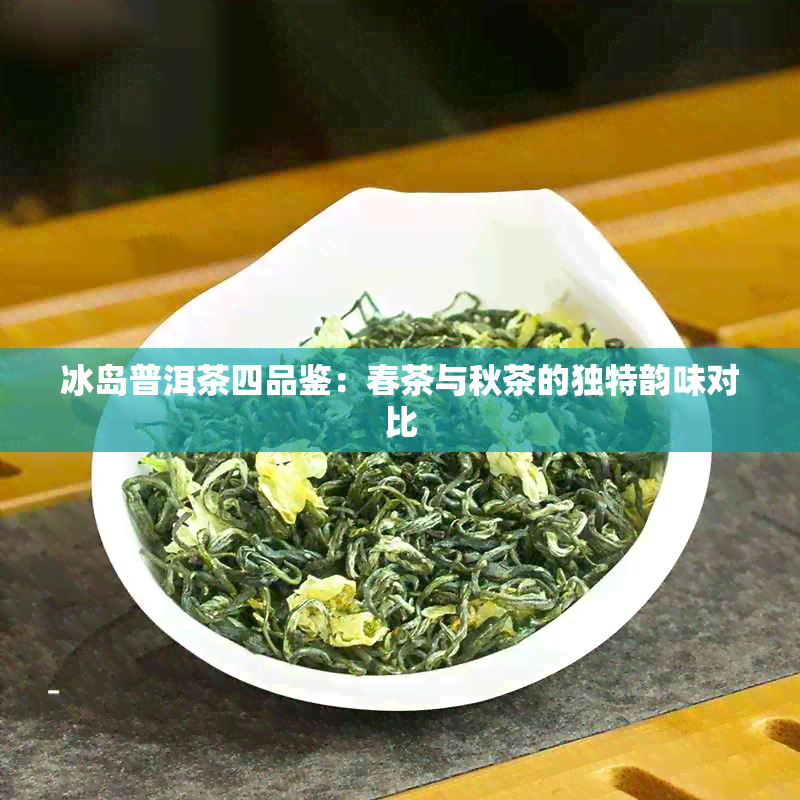 冰岛普洱茶四品鉴：春茶与秋茶的独特韵味对比