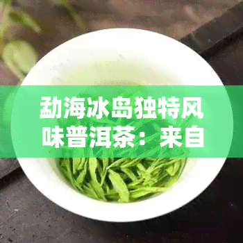 勐海冰岛独特风味普洱茶：来自云南的珍稀生茶体验