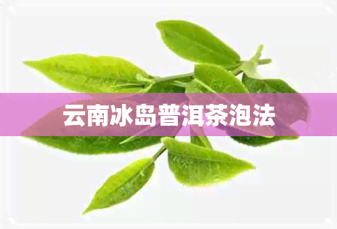 云南冰岛普洱茶泡法