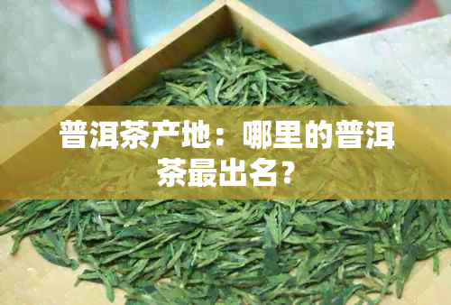 普洱茶产地：哪里的普洱茶最出名？