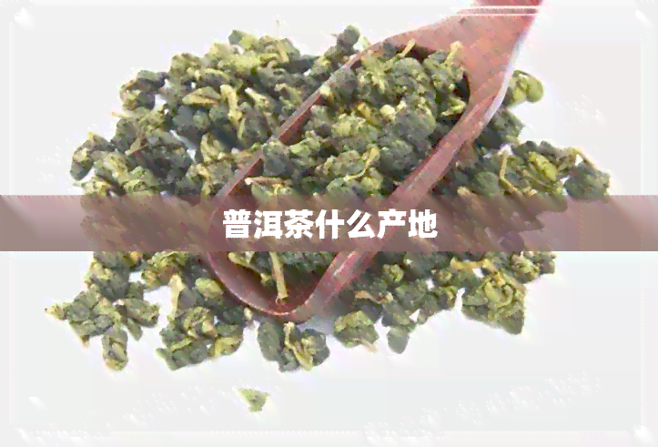 普洱茶什么产地