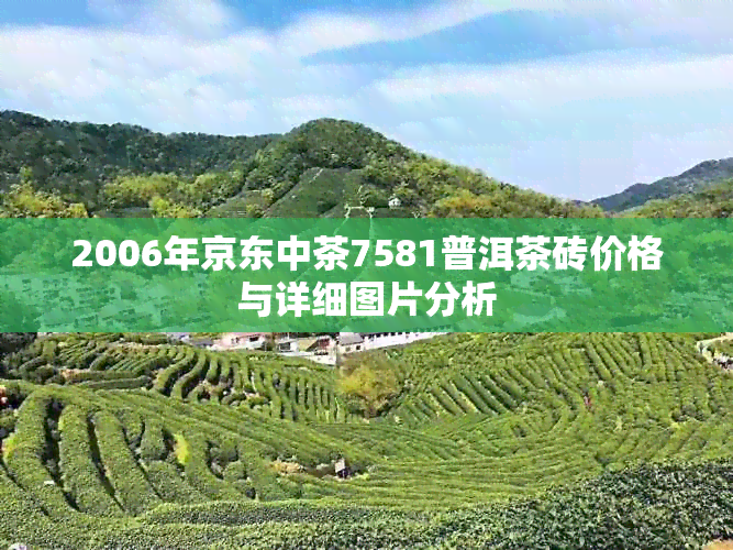 2006年京东中茶7581普洱茶砖价格与详细图片分析