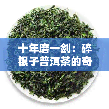 十年磨一剑：碎银子普洱茶的奇幻之旅