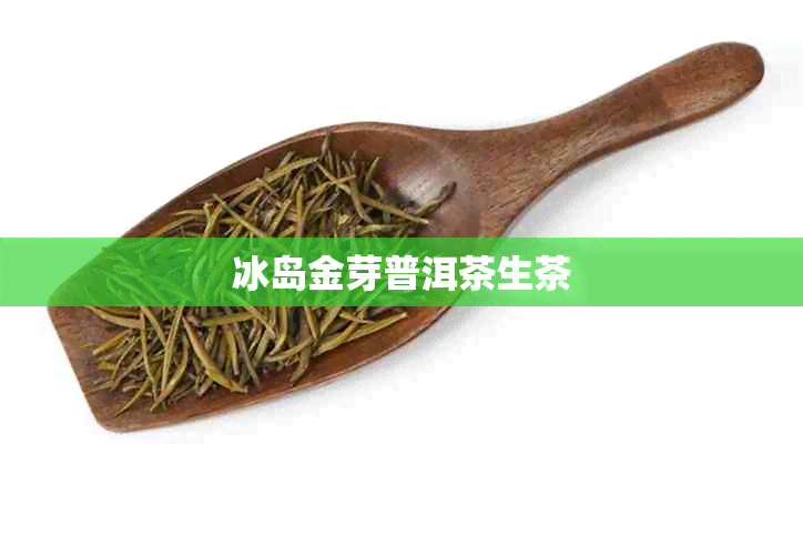 冰岛金芽普洱茶生茶