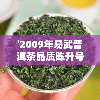 '2009年易武普洱茶品质陈升号价格'