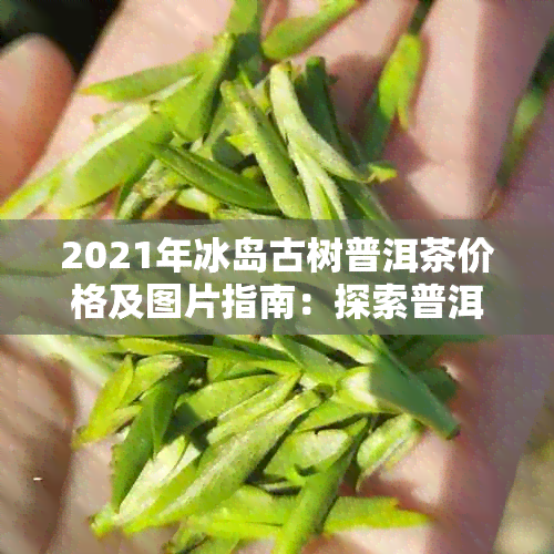 2021年冰岛古树普洱茶价格及图片指南：探索普洱茶中的冰岛风情