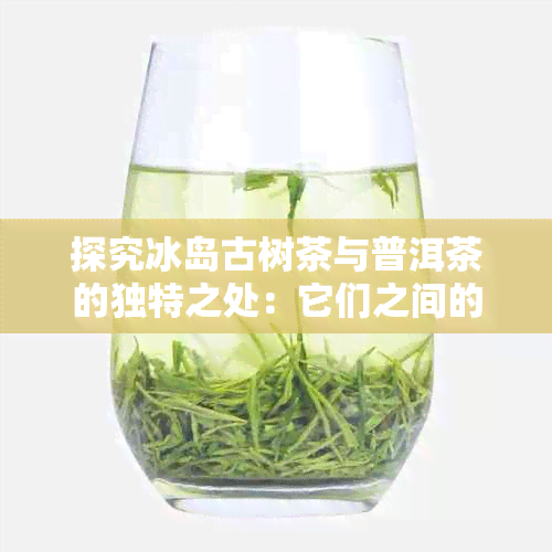 探究冰岛古树茶与普洱茶的独特之处：它们之间的区别是什么？