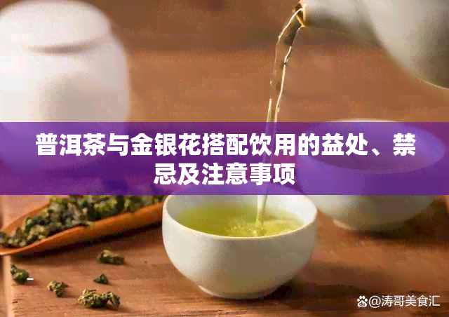 普洱茶与金银花搭配饮用的益处、禁忌及注意事项