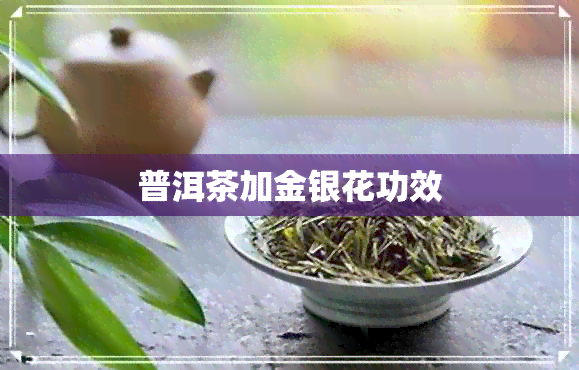 普洱茶加金银花功效