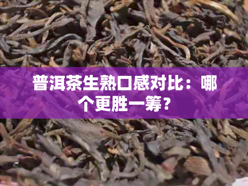 普洱茶生熟口感对比：哪个更胜一筹？