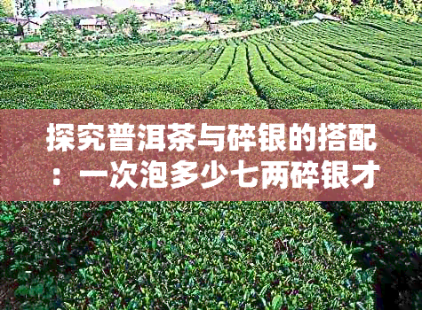 探究普洱茶与碎银的搭配：一次泡多少七两碎银才能发挥功效？