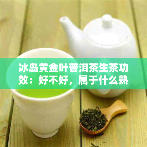 冰岛黄金叶普洱茶生茶功效：好不好，属于什么熟茶还是生茶？