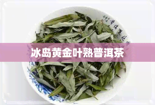 冰岛黄金叶熟普洱茶