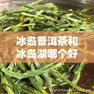 冰岛普洱茶和冰岛湖哪个好喝：对比与选择