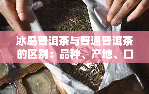 冰岛普洱茶与普通普洱茶的区别：品种、产地、口感和功效的全方位比较