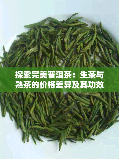 探索完美普洱茶：生茶与熟茶的价格差异及其功效解析