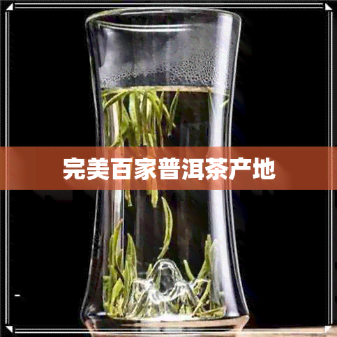 完美百家普洱茶产地