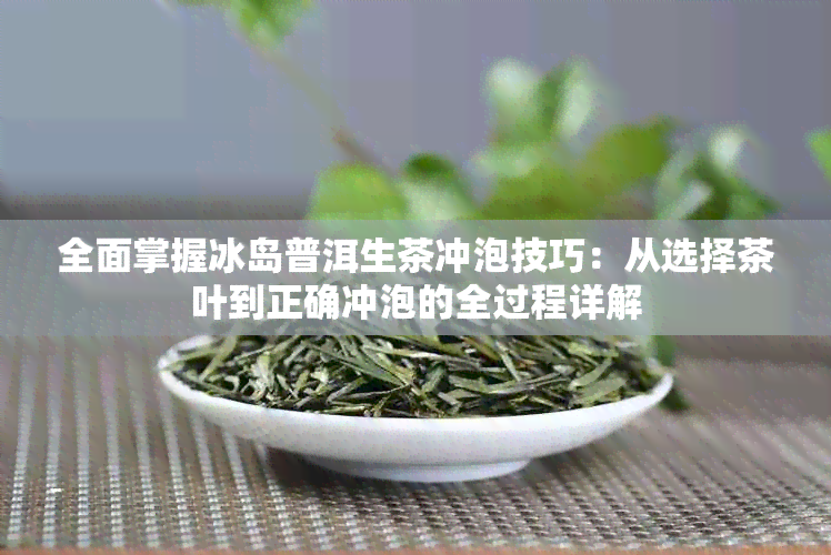 全面掌握冰岛普洱生茶冲泡技巧：从选择茶叶到正确冲泡的全过程详解