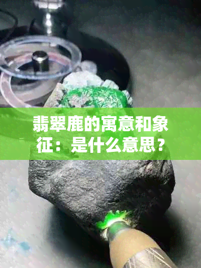 翡翠鹿的寓意和象征：是什么意思？