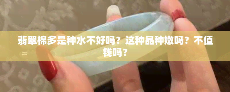 翡翠棉多是种水不好吗？这种品种嫩吗？不值钱吗？