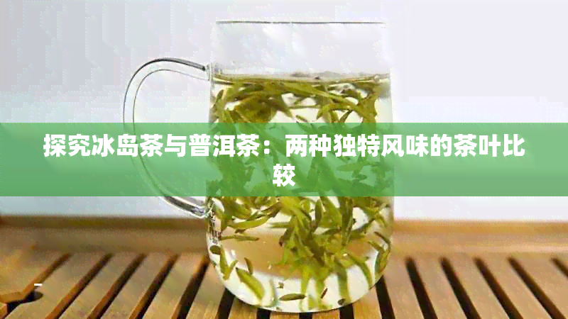 探究冰岛茶与普洱茶：两种独特风味的茶叶比较