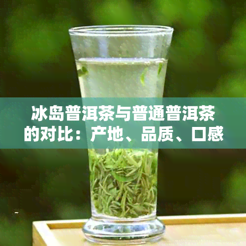 冰岛普洱茶与普通普洱茶的对比：产地、品质、口感及其它区别解析