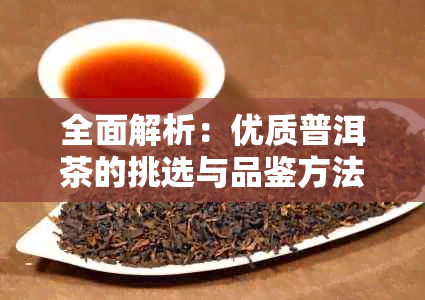 全面解析：优质普洱茶的挑选与品鉴方法，让你轻松掌握碎银子普洱茶的优劣