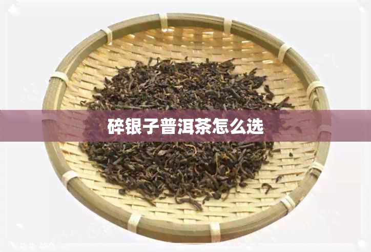 碎银子普洱茶怎么选