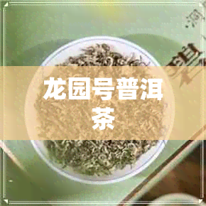 龙园号普洱茶