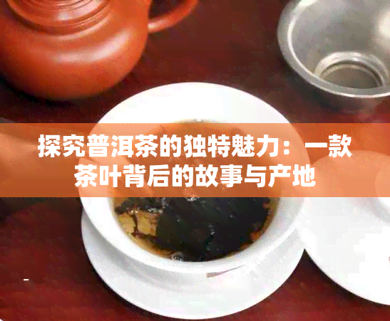 探究普洱茶的独特魅力：一款茶叶背后的故事与产地