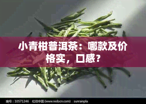 小青柑普洱茶：哪款及价格实，口感？