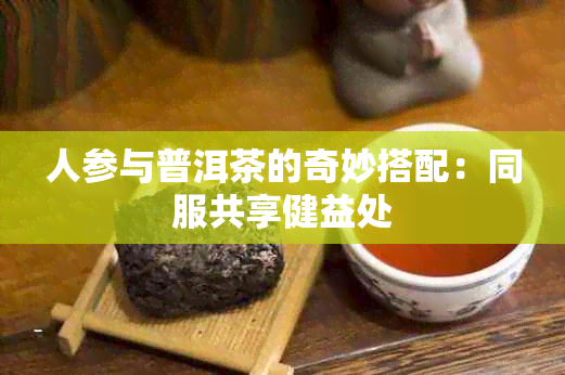 人参与普洱茶的奇妙搭配：同服共享健益处