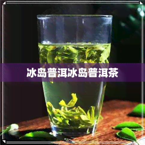 冰岛普洱冰岛普洱茶