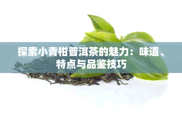 探索小青柑普洱茶的魅力：味道、特点与品鉴技巧