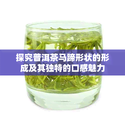 探究普洱茶马蹄形状的形成及其独特的口感魅力