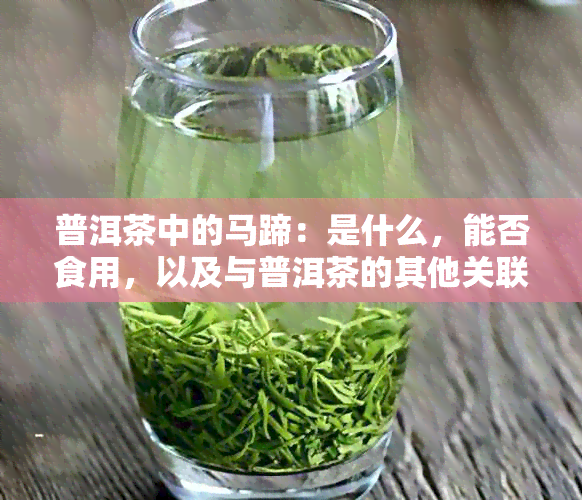 普洱茶中的马蹄：是什么，能否食用，以及与普洱茶的其他关联