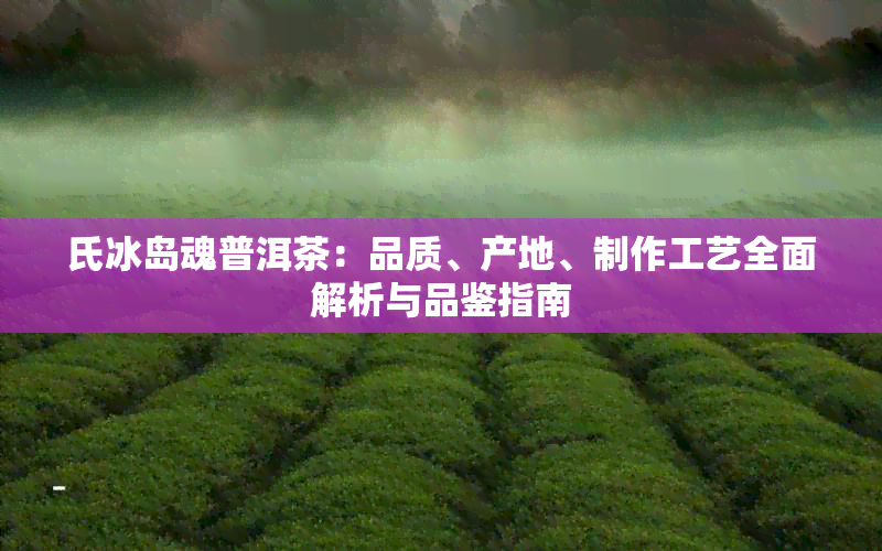 氏冰岛魂普洱茶：品质、产地、制作工艺全面解析与品鉴指南