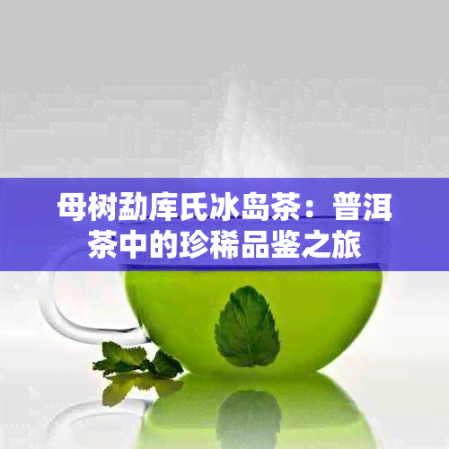 母树勐库氏冰岛茶：普洱茶中的珍稀品鉴之旅