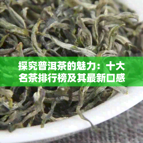 探究普洱茶的魅力：十大名茶排行榜及其最新口感评价