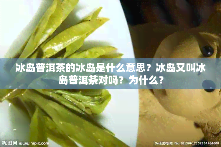 冰岛普洱茶的冰岛是什么意思？冰岛又叫冰岛普洱茶对吗？为什么？