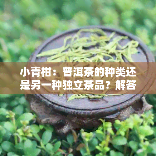 小青柑：普洱茶的种类还是另一种独立茶品？解答你对熟普洱茶的所有疑问