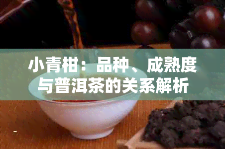 小青柑：品种、成熟度与普洱茶的关系解析