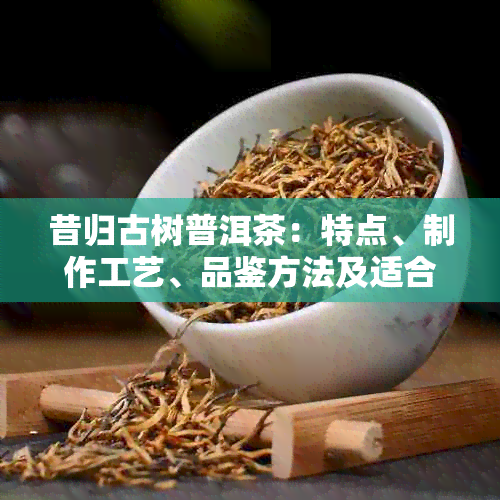 昔归古树普洱茶：特点、制作工艺、品鉴方法及适合的饮用场景全解析