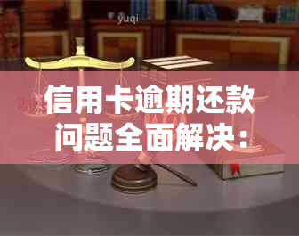 信用卡逾期还款问题全面解决：法院协商还款策略与技巧