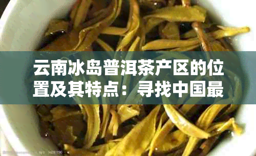 云南冰岛普洱茶产区的位置及其特点：寻找中国最北的普洱茶生产基地