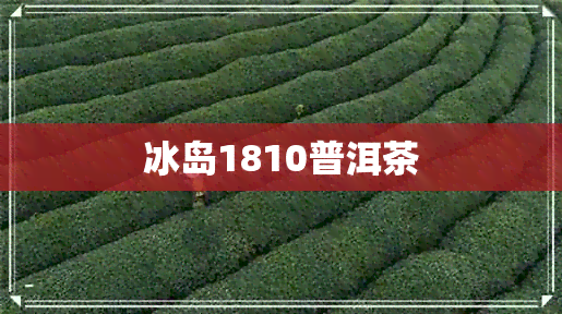 冰岛1810普洱茶