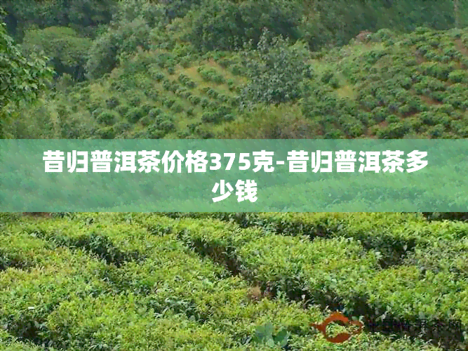 昔归普洱茶价格375克-昔归普洱茶多少钱