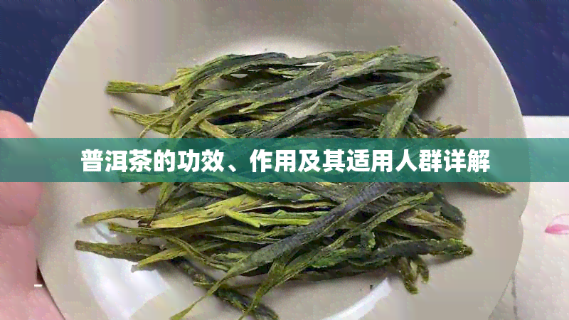 普洱茶的功效、作用及其适用人群详解