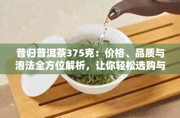 昔归普洱茶375克：价格、品质与泡法全方位解析，让你轻松选购与品鉴