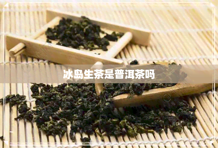 冰岛生茶是普洱茶吗